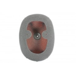 FILTRE P.FLOW TWINAIRCRF450R/RX 17