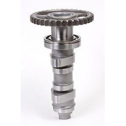 ACT ST.1  CRF450R '09CRF450R 09 STAGE 1