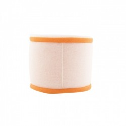 FILTRE A AIR TWINAIRRM125 79-80