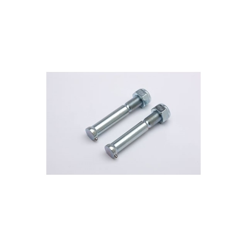 KIT VIS PONTET RENTHALM12X68MM POUR PONTETS 445215