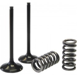 KIT SOUPAPES ACIER ECHAPRM-Z250 07-11