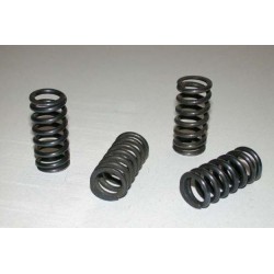 KIT RESSORTS EMBRAYAGESX-F250/350 16 FC250-350 16