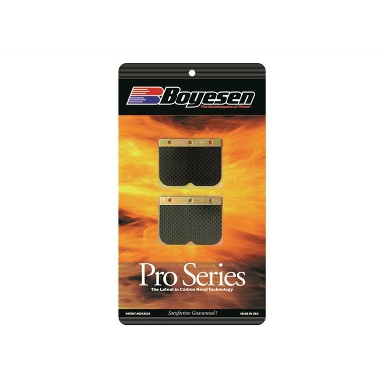 CLAPETS CARBONE BOYESENEXC250/300 07-15 REMPL. BOITE BOYESEN