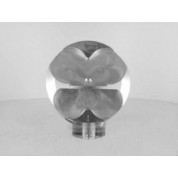 PIST.SX-F250 06-11 79.96XDS8000/WP059/CW16 4 TPS / HTE CPR 14.4:1