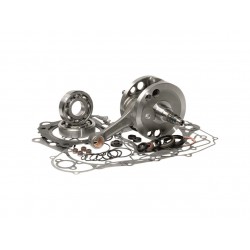 KIT VILEBREQUIN BIHRYZ450F 10-13 4 TPS