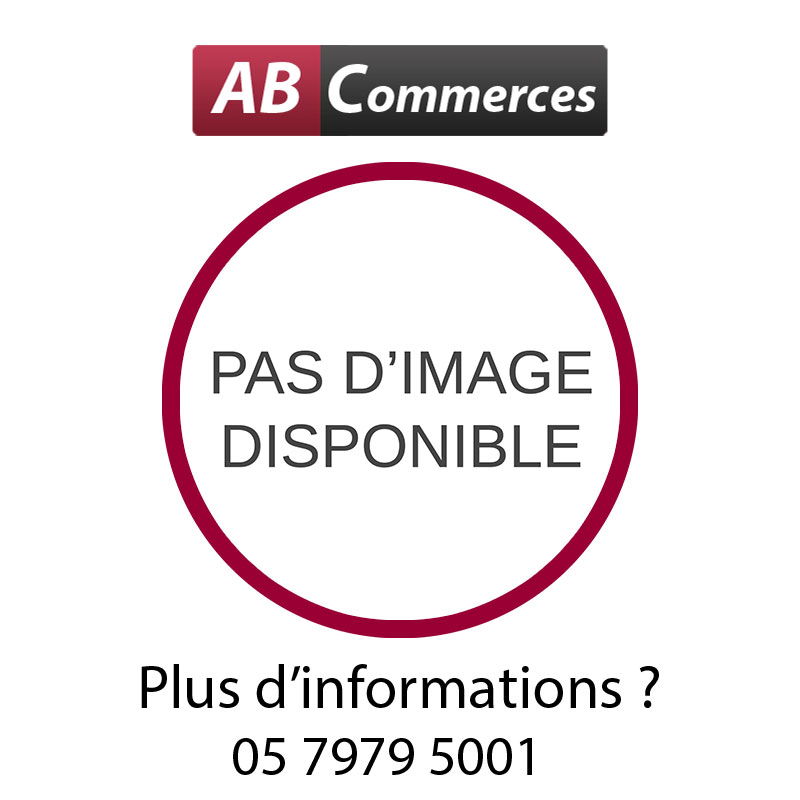 Pompe de surface monocellulaire - SW60 - Capvert - 600 W - 3 m³/h